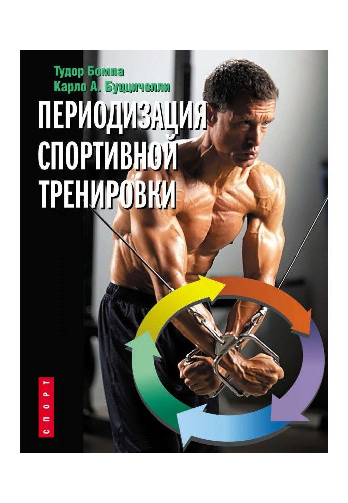 Периодизация спортивной тренировки