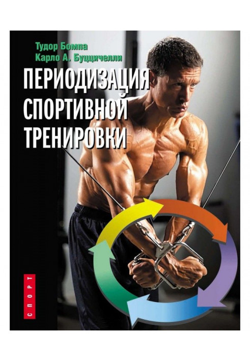 Периодизация спортивной тренировки