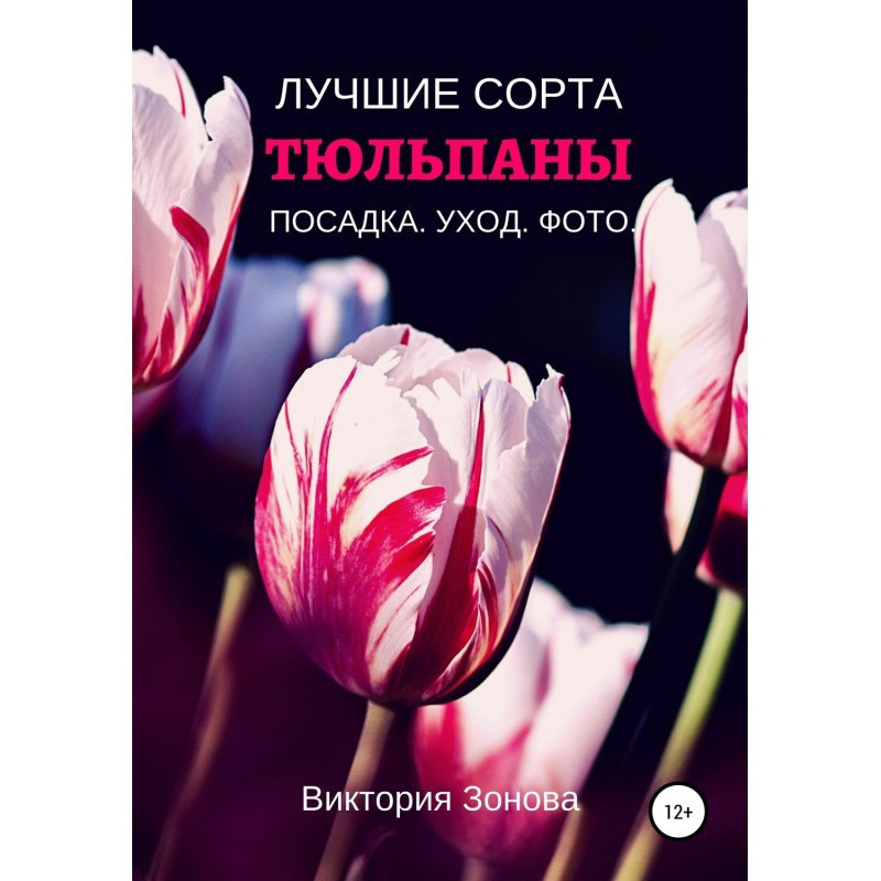 Тюльпани. Найкращі сорти