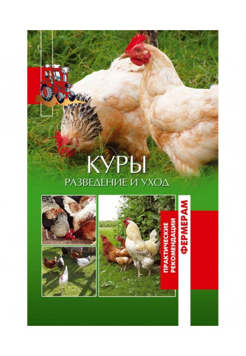 Куры. Разведение и уход