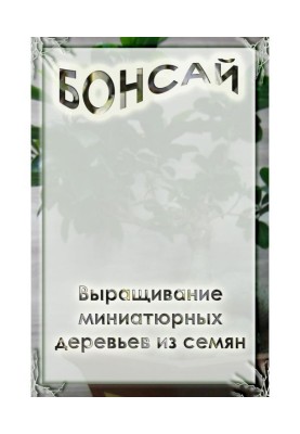 Выращивание миниатюрных деревьев из семян