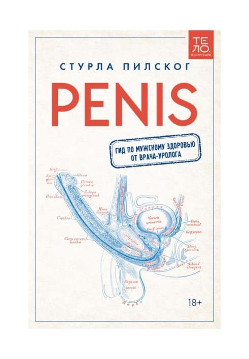 Penis. Гид по мужскому здоровью от врача-уролога