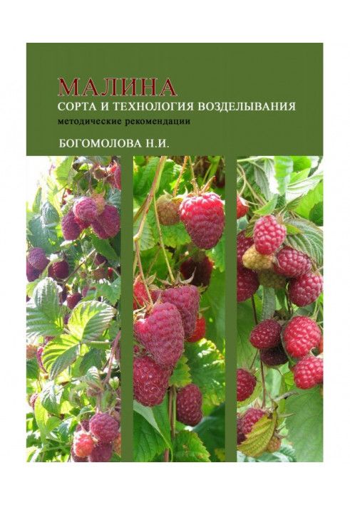 Малина: сорти та технологія обробітку (методичні рекомендації)