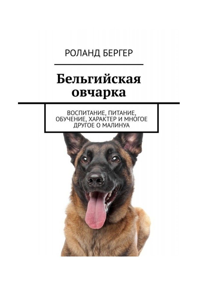 Belgian Shepherd. Education, nutrition, training, character and much more about the Malinois