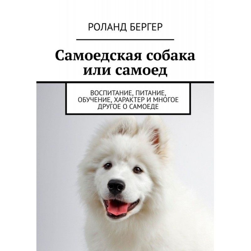 Samoyed dog or samoyed....