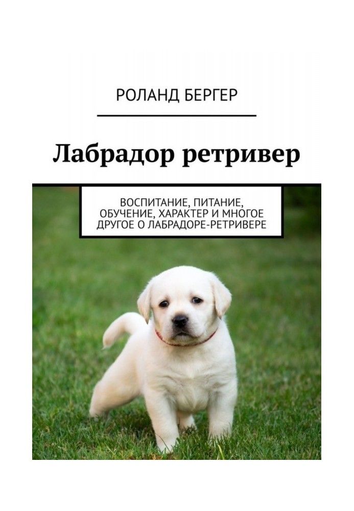 Лабрадор ретрівер. Виховання, харчування, навчання, характер та багато іншого про лабрадор-ретрівер