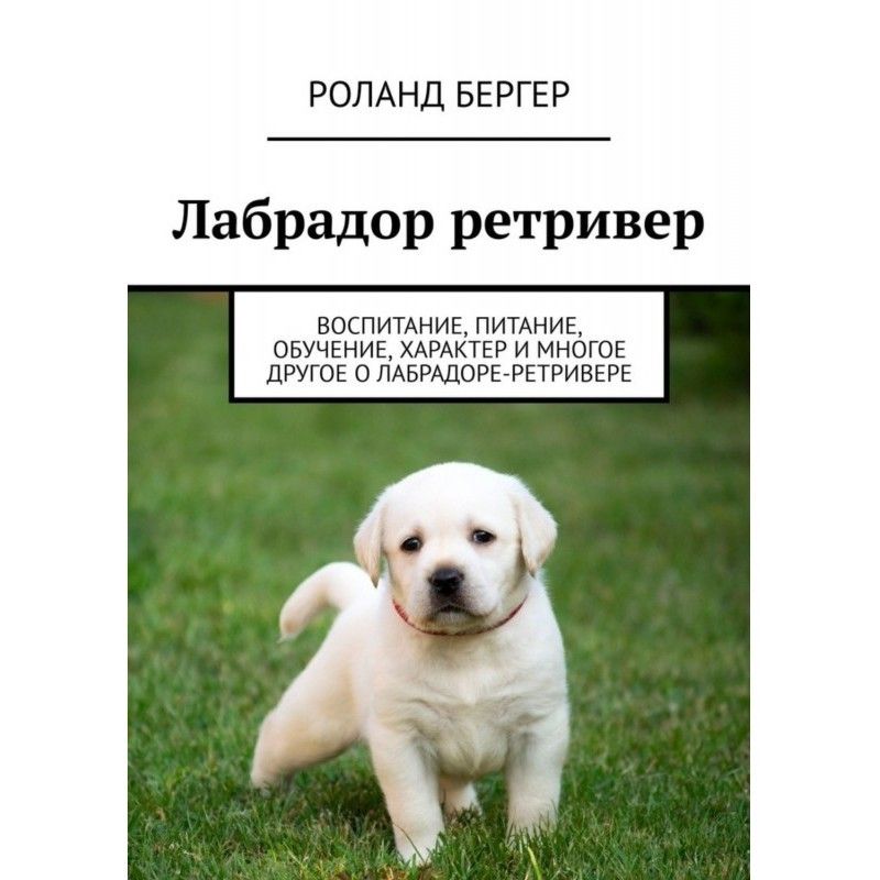 Лабрадор ретривер....