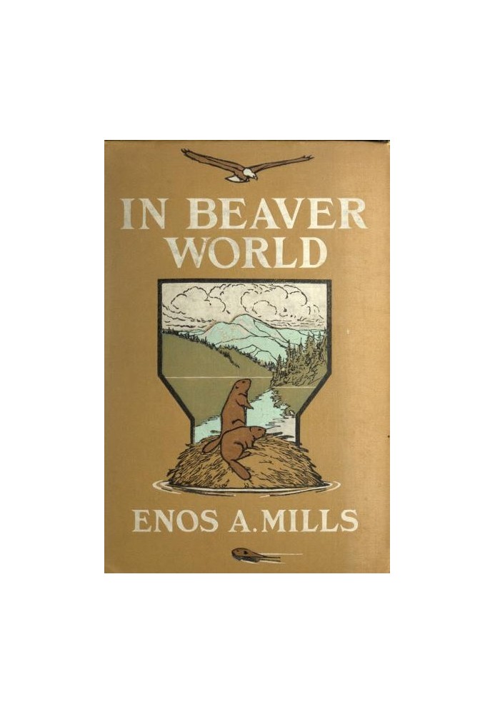 In Beaver World