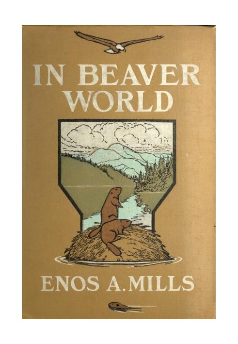 In Beaver World