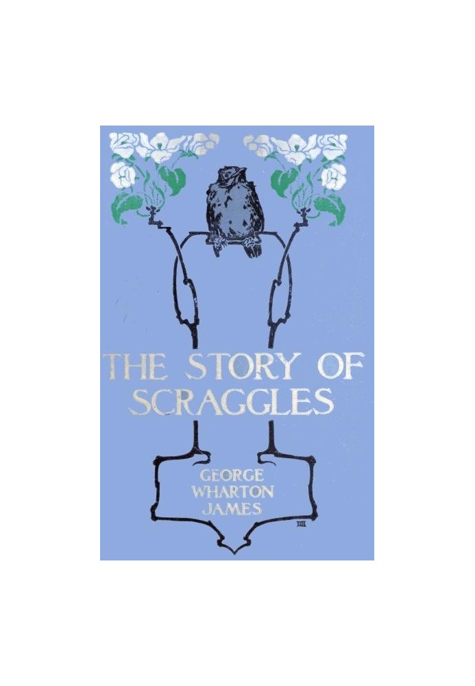 The Story of Scraggles