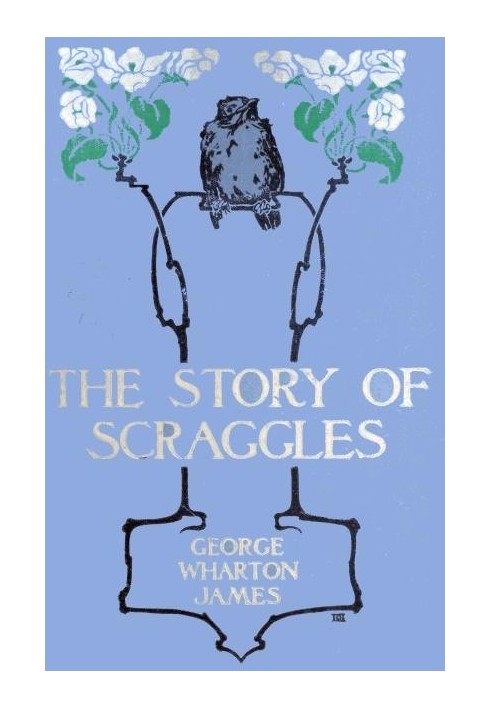 The Story of Scraggles