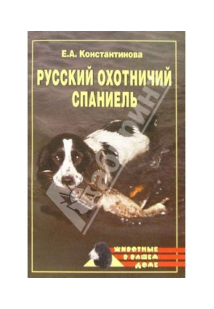 Russian hunting spaniel