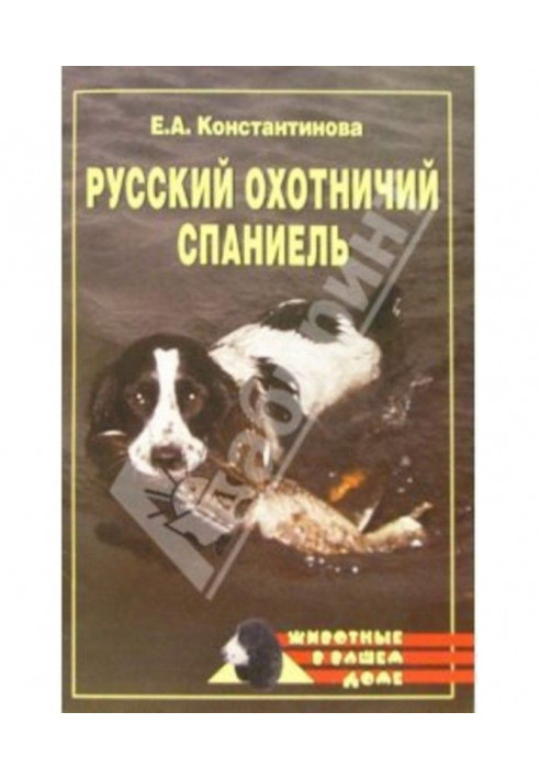 Russian hunting spaniel