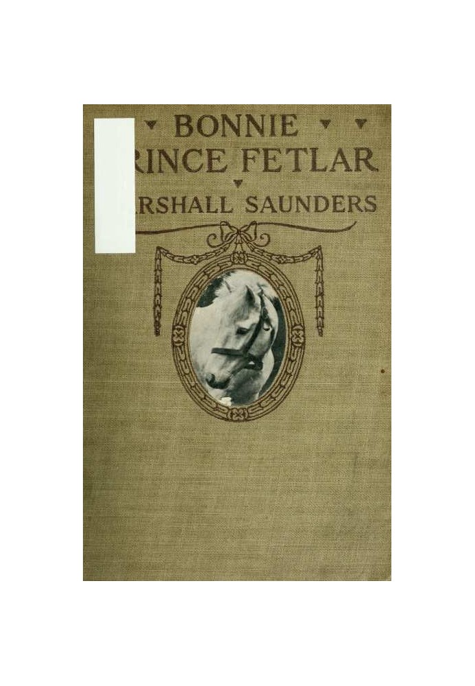 Bonnie Prince Fetlar: The Story of a Pony and His Friends