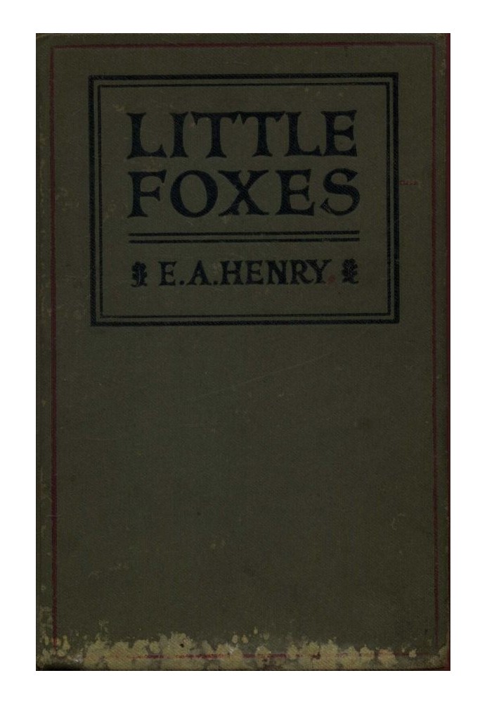 Little Foxes: Stories for Boys and Girls