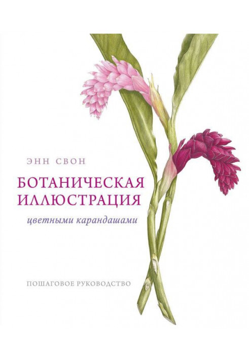 Ботанічна ілюстрація кольоровими олівцями. Покрокове керівництво