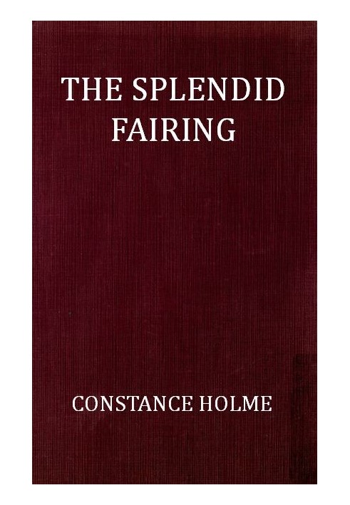 The Splendid Fairing