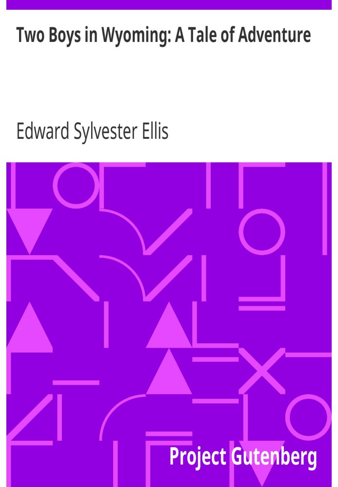 Два мальчика в Вайоминге: История приключений (Северо-западная серия, № 3)