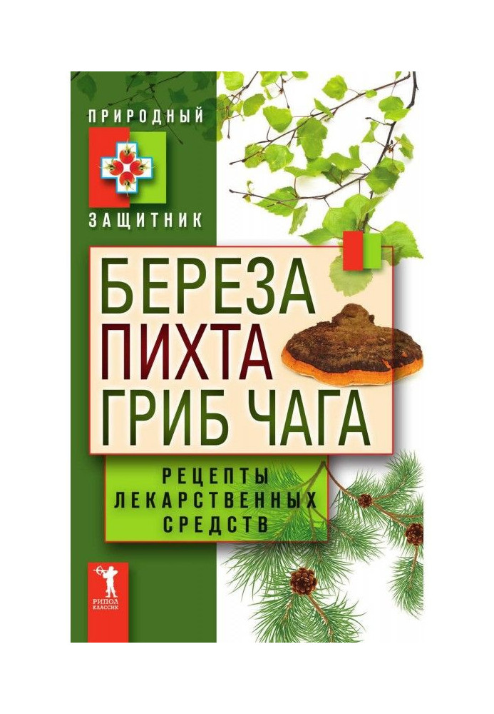 Birch, silver fir, mushroom of чага. Recipes of medicinal facilities