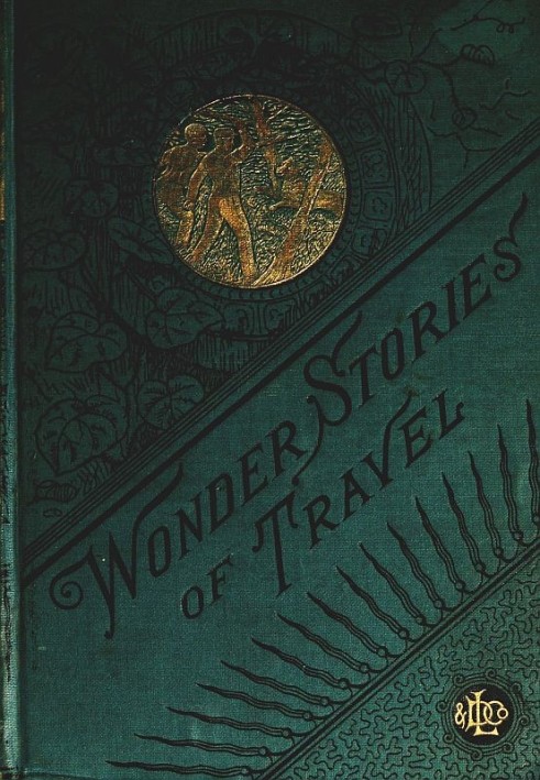 Wonder Stories of Travel