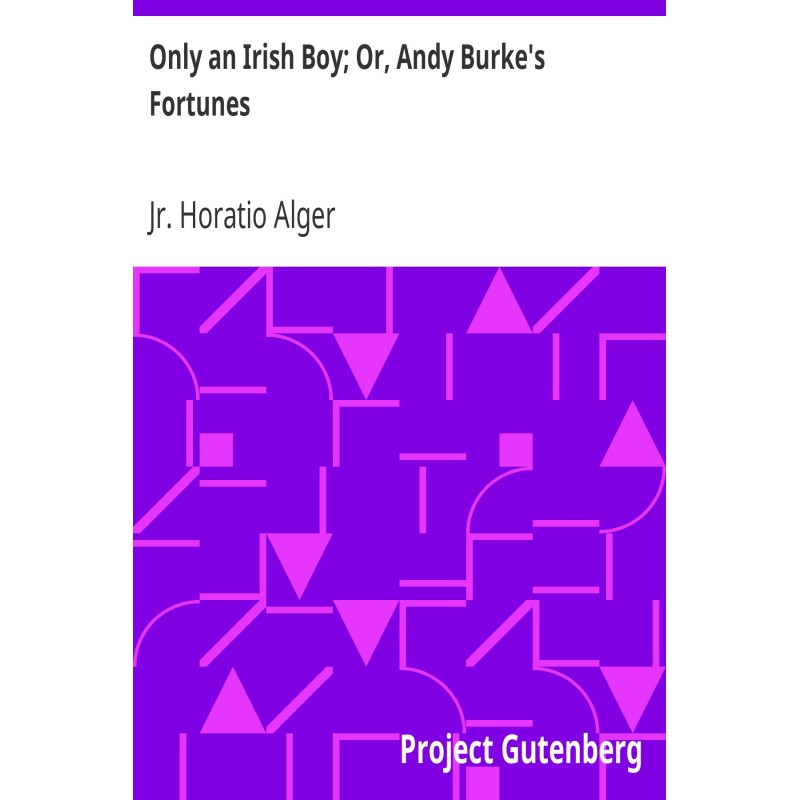 Only an Irish Boy; Or, Andy...