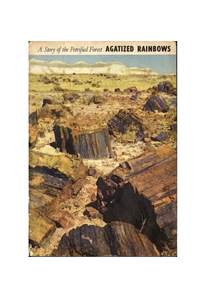 Agatized Rainbows: A Story of the Petrified Forest