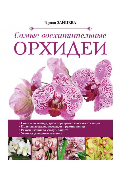 Most delightful orchids