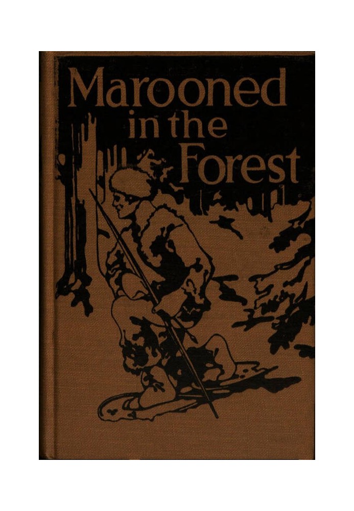 Marooned in the Forest: The Story of a Primitive Fight for Life