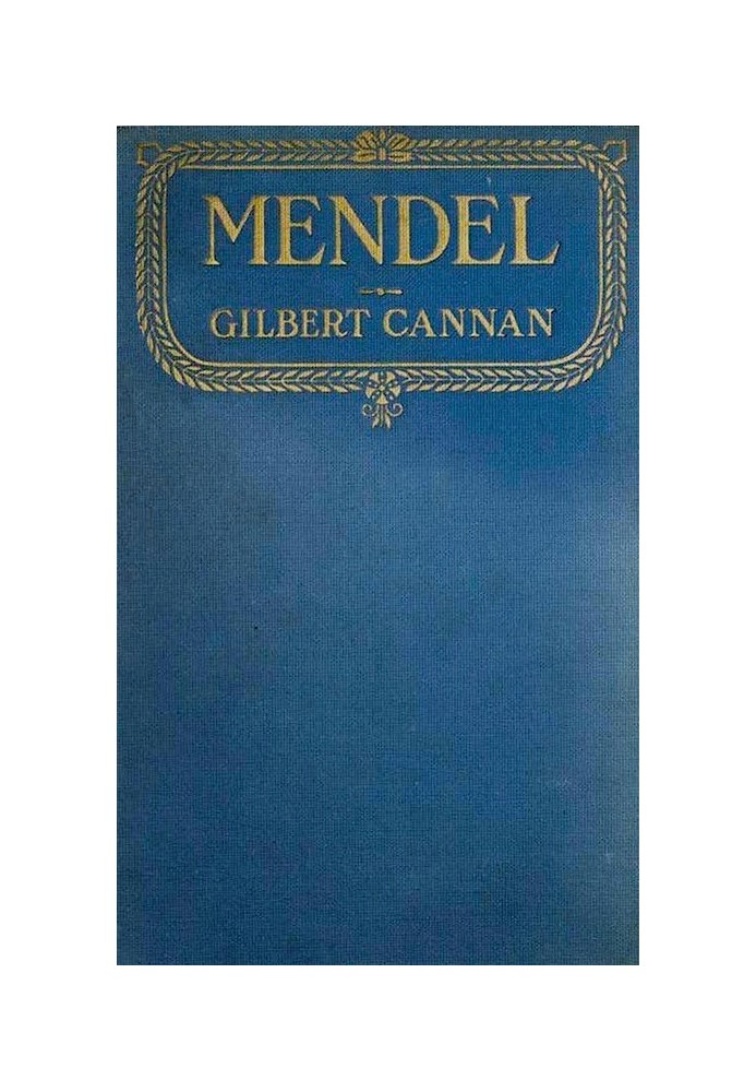 Mendel: A Story of Youth