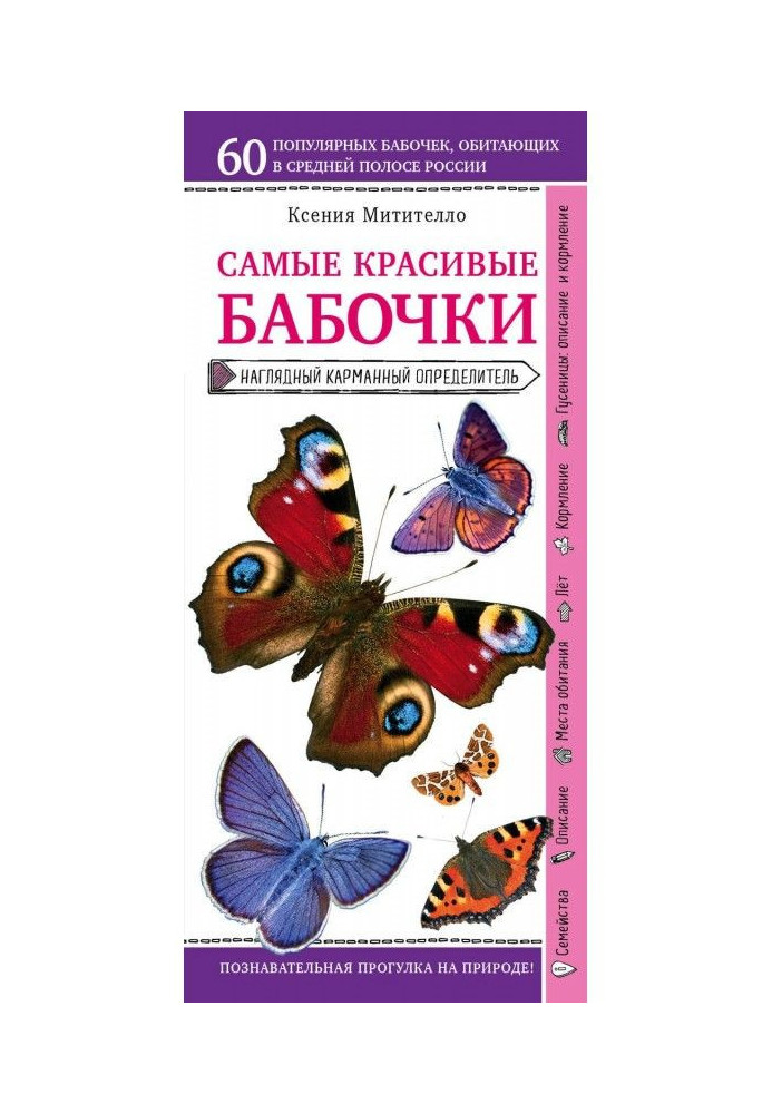 Метелики. Наочний кишеньковий визначник