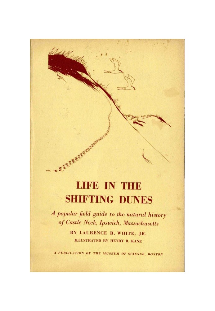 Life in the Shifting Dunes A popular field guide to the natural history of Castle Neck, Ipswich, Massachusetts