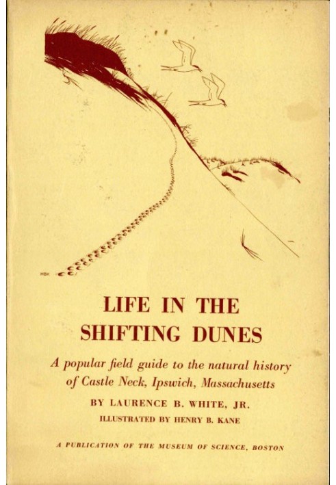 Life in the Shifting Dunes A popular field guide to the natural history of Castle Neck, Ipswich, Massachusetts