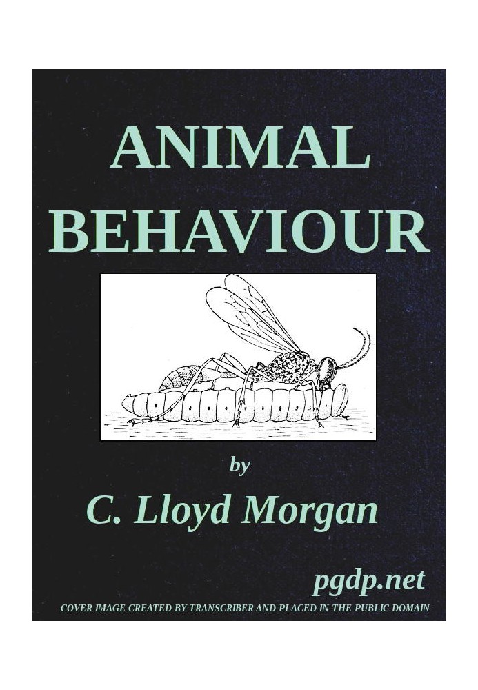 Animal Behaviour