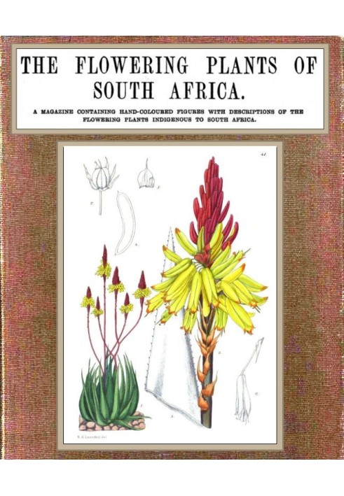 The flowering plants of South Africa; vol. 2