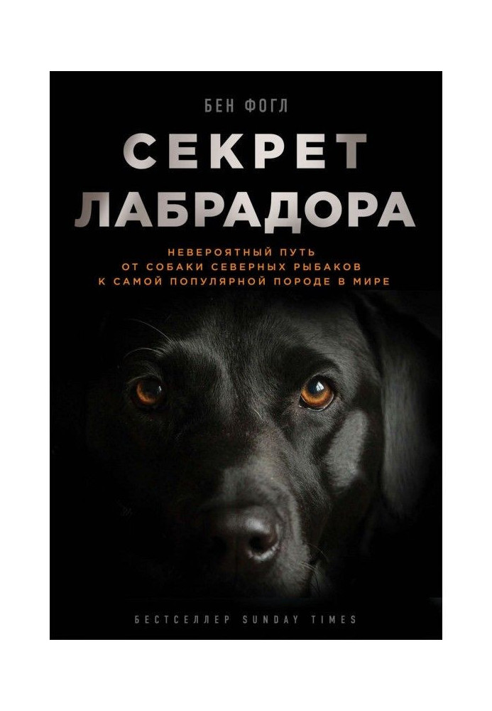 Секрет лабрадора. Невероятный путь от собаки северных рыбаков к самой популярной породе в мире