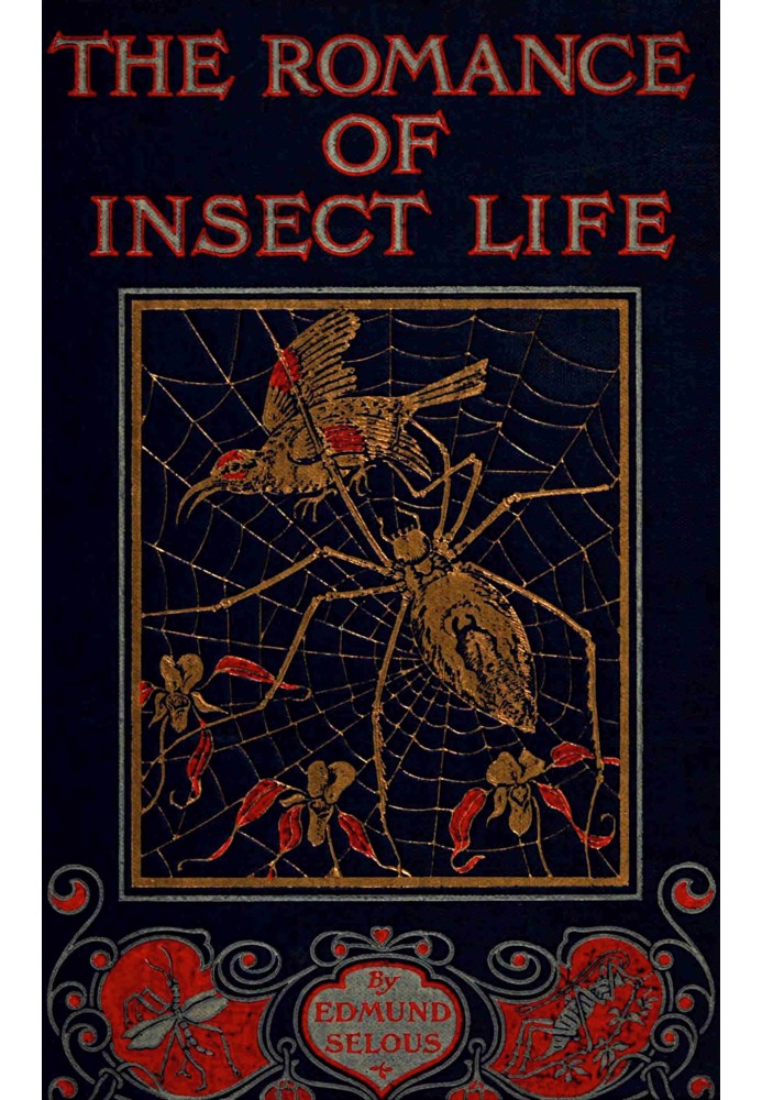 The romance of insect life : $b Interesting descriptions of the strange and curious in the insect world