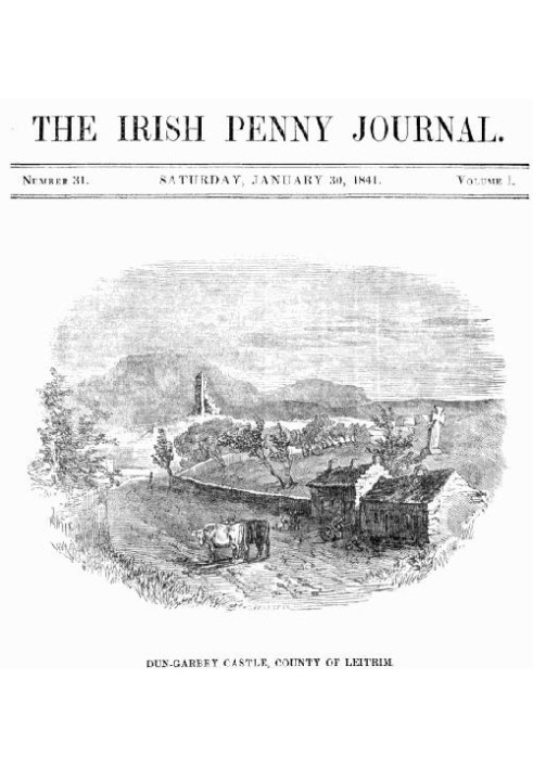 The Irish Penny Journal, Vol. 1 № 31, 30 січня 1841 р