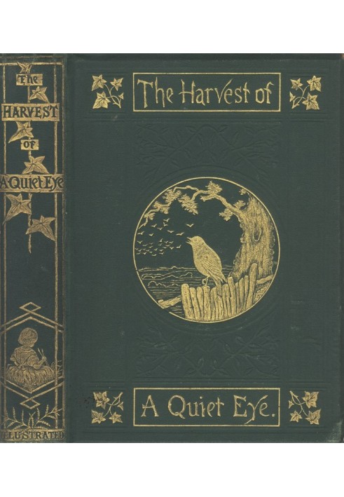 The Harvest of a Quiet Eye: Leisure Thoughts for Busy Lives